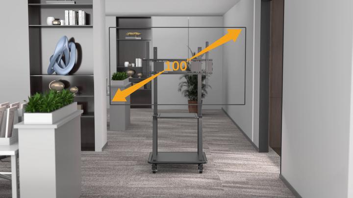 Actual product image Manhattan Universal TV stand on casters with extra high load capacity (LCD, 100", 170 kg)