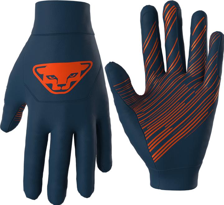 Produktbild Dynafit Upcycled Speed Handschuhe (M)