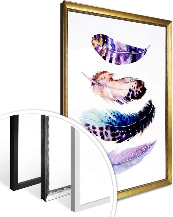 Immagine prodotto Trenddeko Molle 01 (50 x 60 cm)