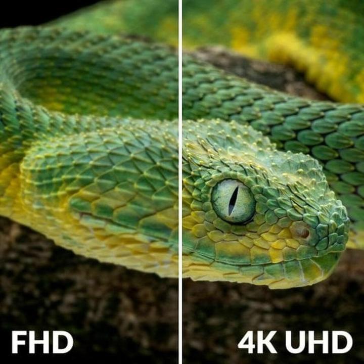 Image du produit Strong SRT8250 (DVB-T2)