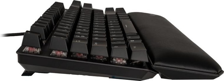 Actual product image ASUS 90MP00N7-BKDA00 (DE, Cable)