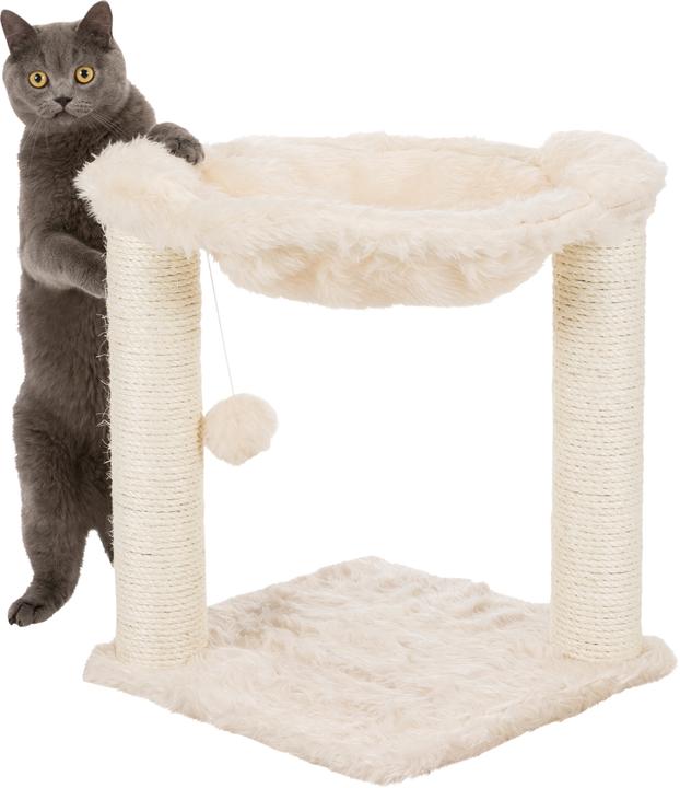 Image du produit Trixie Baza (50 cm, Crème, Blanc)