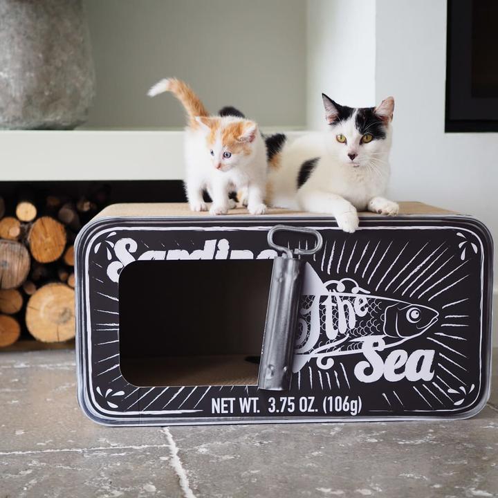 Image du produit District 70 Sardine (30 cm, Noir)