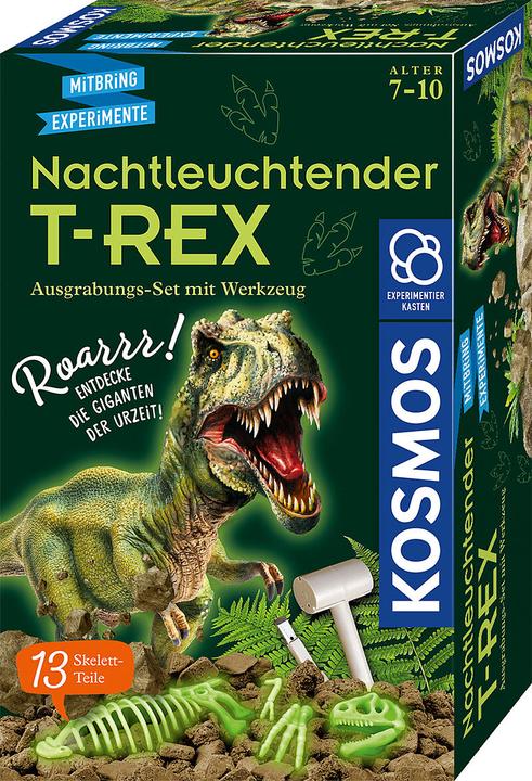 Actual product image Kosmos Noctilucent T-REX