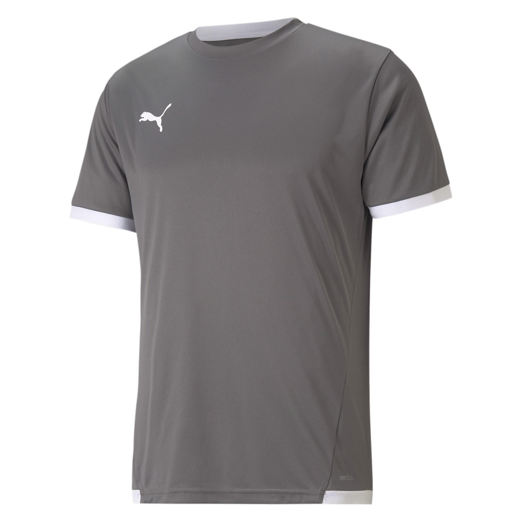 Puma, Herren, Sportshirt, TeamLIGA Jersey-704917 (L), Grau, L