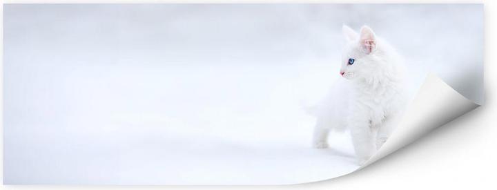 Image du produit Trenddeko Prexus - Plus blanc que neige (80 x 30 cm)