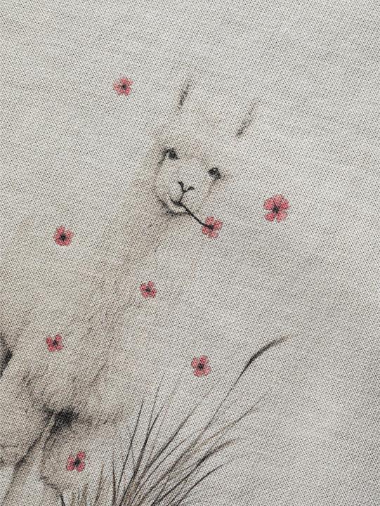 Immagine prodotto Chillaz Klettershirt Alpaca Meadow (38, M)