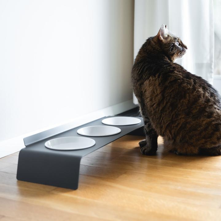 Image du produit LucyBalu BUFFET Futterstation (60 cl)