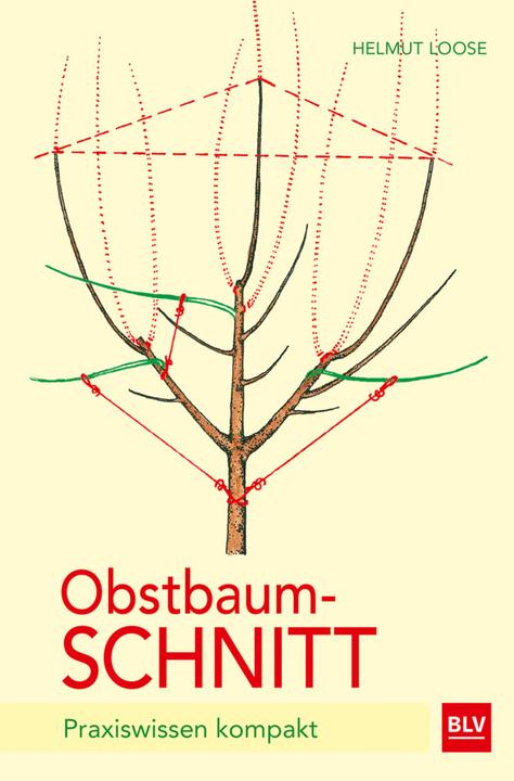 Produktbild Obstbaumschnitt (Deutsch, Helmut Loose, 2015)