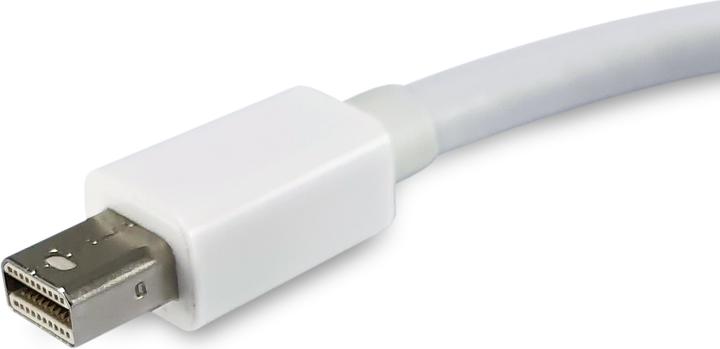 Produktbild equip Life DisplayPort-Adapter (Mini DP, 15 cm)