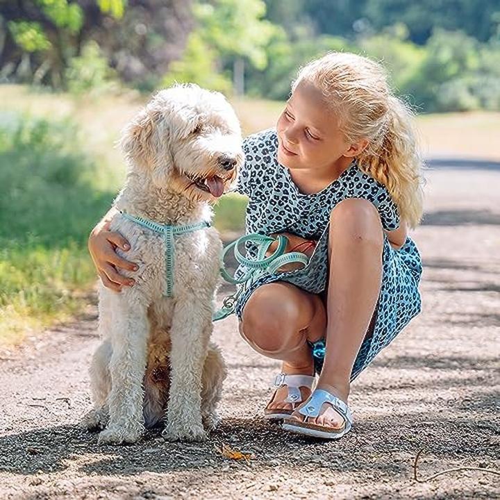 Actual product image Nobby Harness Soft Grip (L, XL, Dog, General)