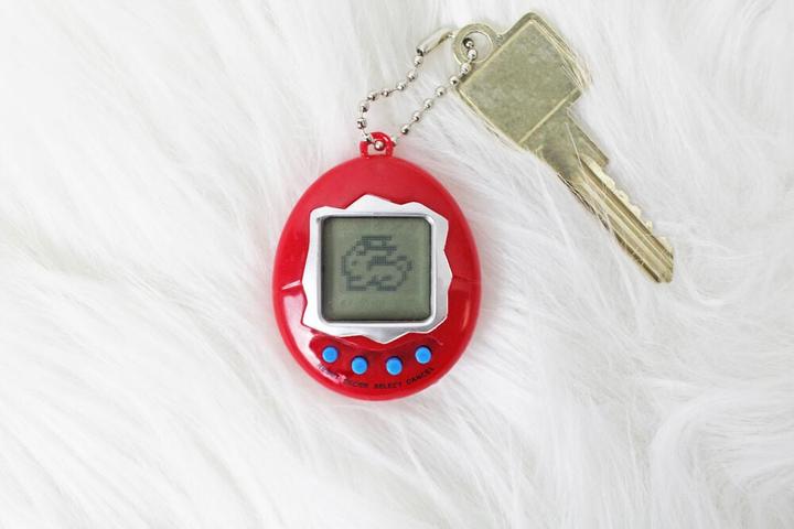 Actual product image Winkee Pocket Pet - (17793)