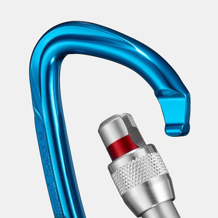 Actual product image Simond Snap hook D-shape aluminium screw lock