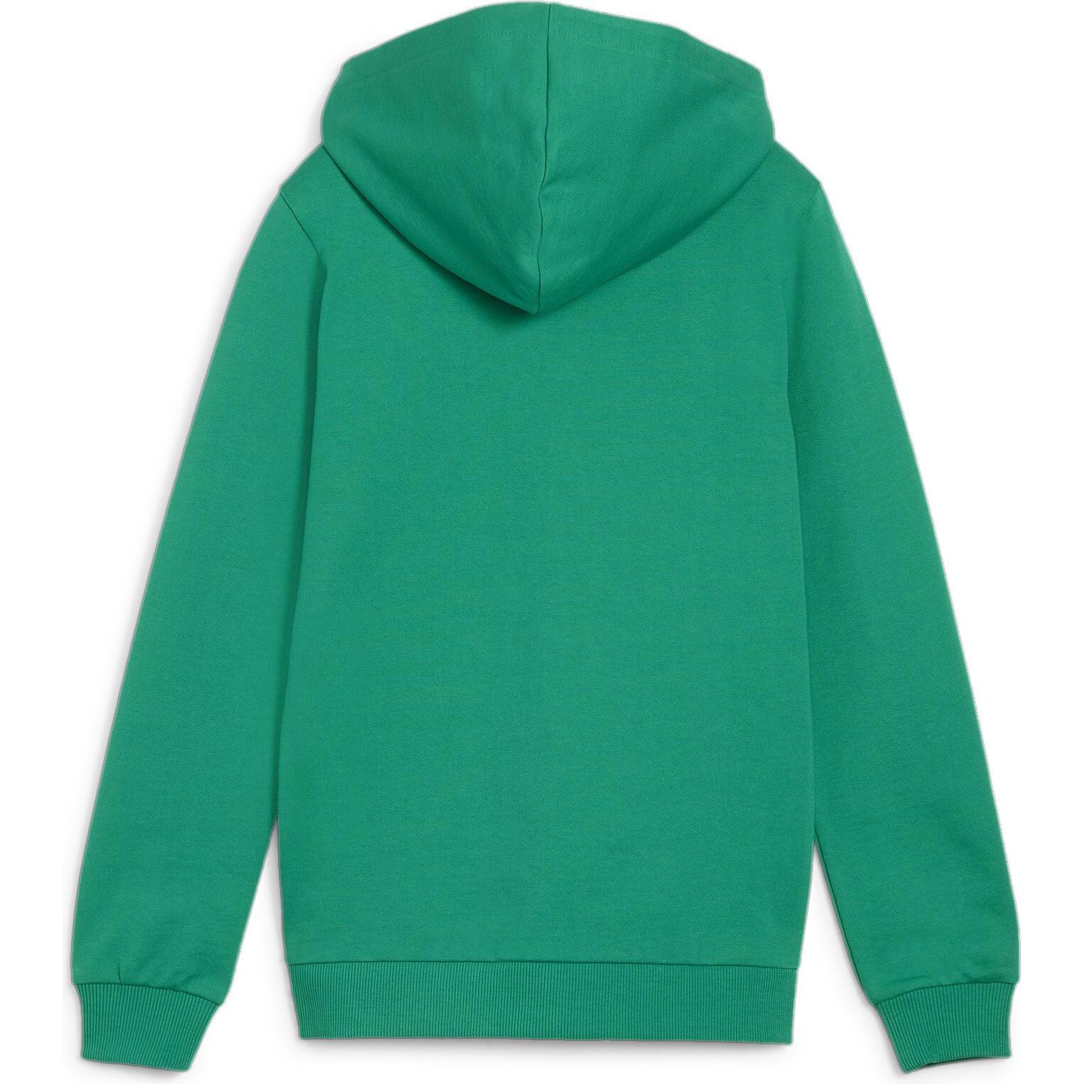 Thumbnail - Puma, Jungen, Pullover, teamGOAL Casuals Hooded Jacket Jr, Grün, (128)