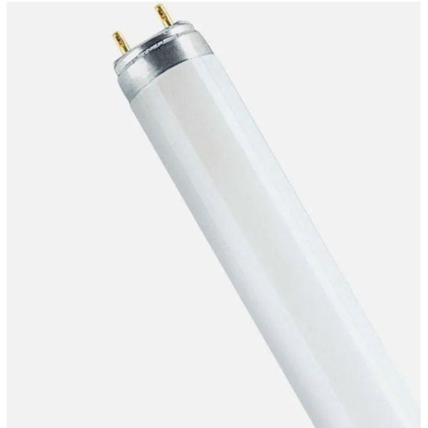 Image du produit Osram Tube (G13, 2400 lm, 1 x)