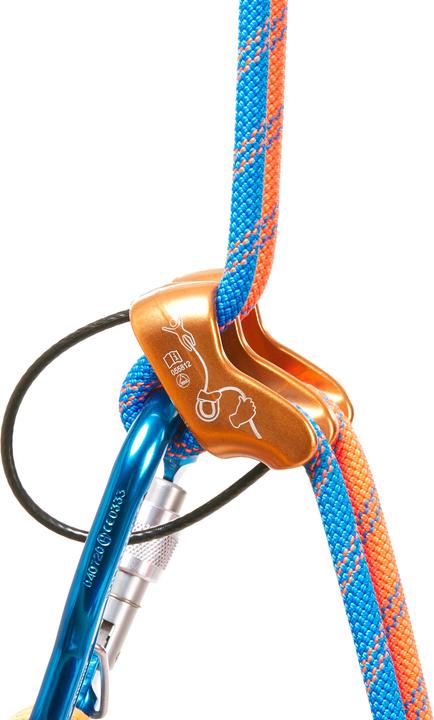 Actual product image Simond Carabiner pear-shaped HMS screw lock aluminium