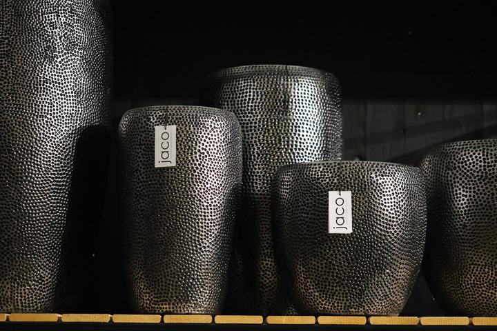 Produktbild Jaco Lite Glow Anden (41 x 68 cm)