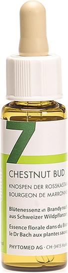 Actual product image Phytomed Bachblüten No7 Knospen der Rosskastanie (1 Piece, Droplet, 24 g)