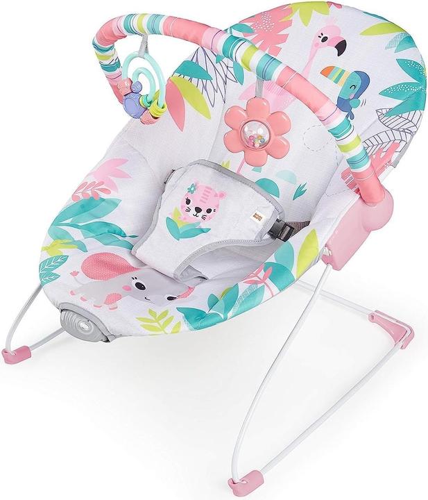 Bright Starts Flamingo Vibe