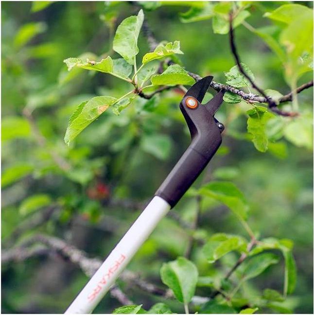 Actual product image Fiskars Up 69