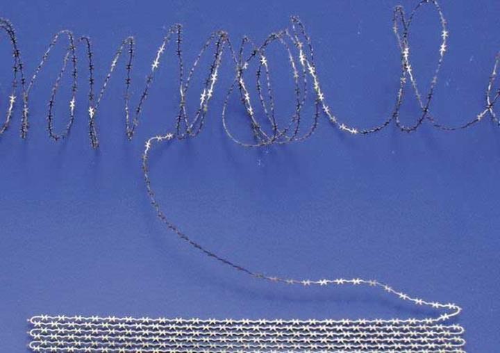 Image du produit Eduard Fil de fer barbelé I.(8m) Kit de photogravure