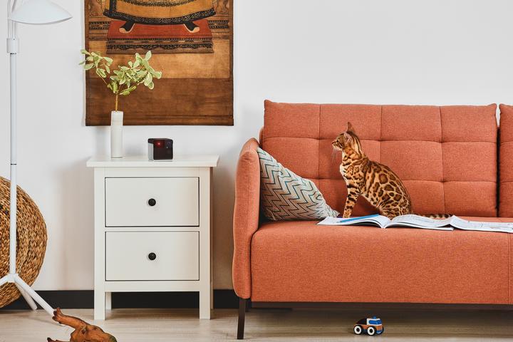 Immagine prodotto Petcube Distributore di croccantini per animali domestici con camera (1000 l)