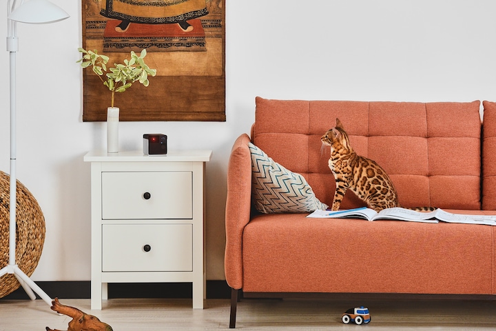 Image du produit Petcube Caméra pour animaux domestiques avec distribution de friandises (1000 l)