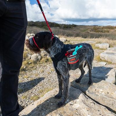 Immagine prodotto KONG Ritiro (Cane da snack)