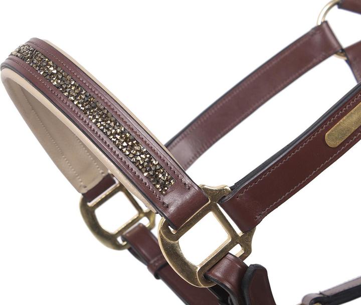 Actual product image Qhp Leather halter Lupine