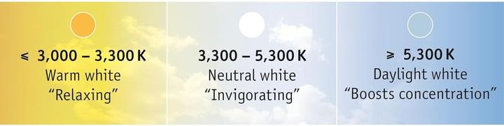 Produktbild Paulmann MaxLED 500 Stripe Set (Weiss, 1000 cm, Indoor)