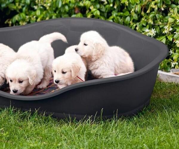 Image du produit Kerbl Dormeurs (Chat, Chien)