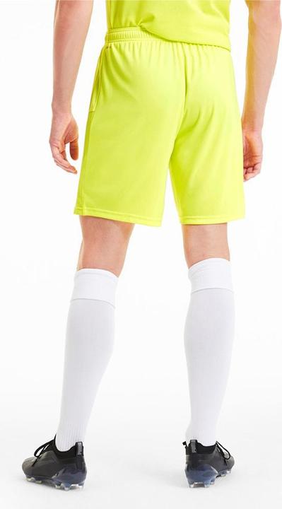 Actual product image Puma teamGOAL 23 knit shorts-704262 (M)