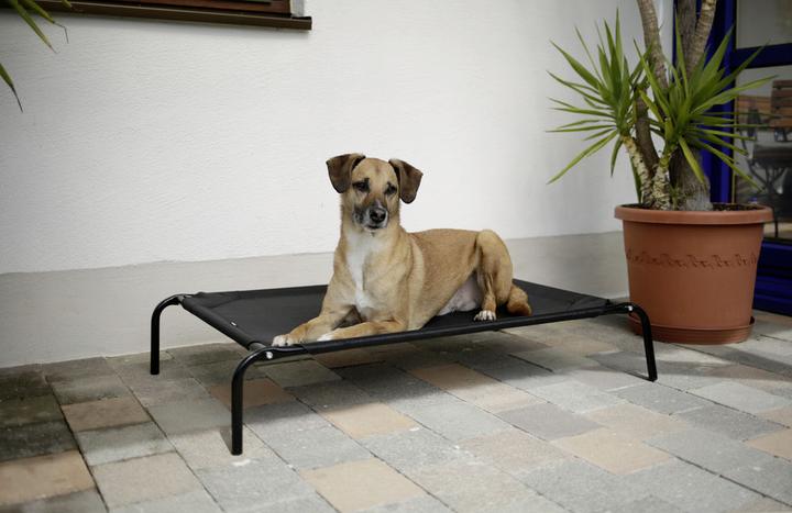 Produktbild Kerbl Hundeliege Vacation (Hund)