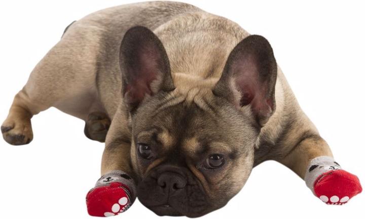 Produktbild Kerbl Bruno (L, Hundesocken)