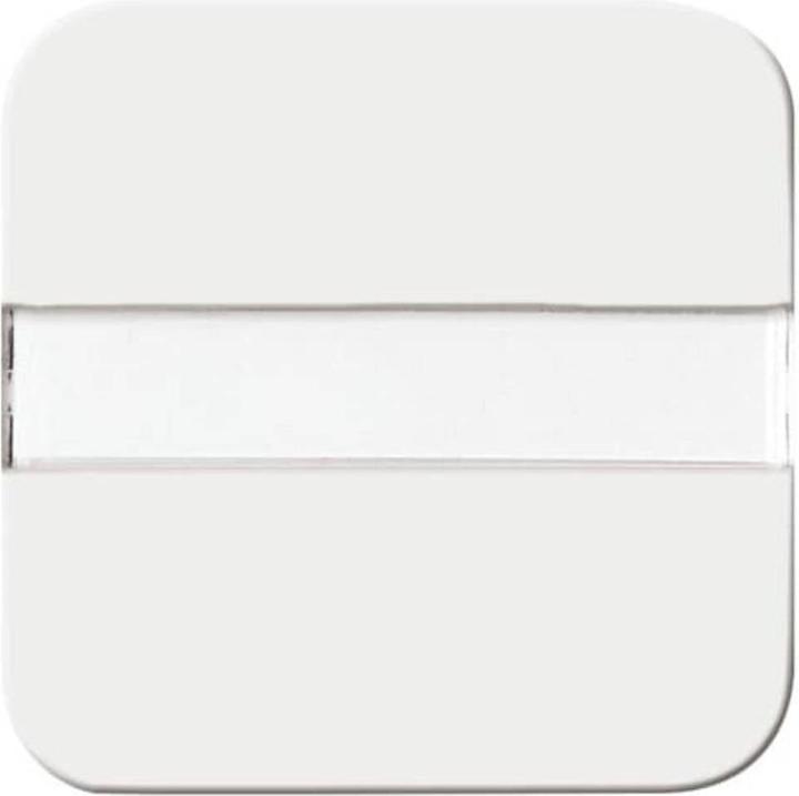 Actual product image Busch-Jaeger Seesaw