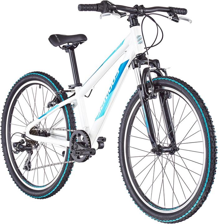 Actual product image Serious Rockville (24")