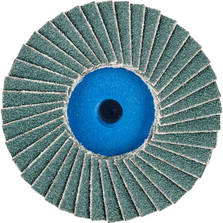 Actual product image Pferd Flap disc (80)