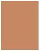 Actual product image Dior Diorskin Forever Fond de Teint Matte No 5N (5N Neutral)