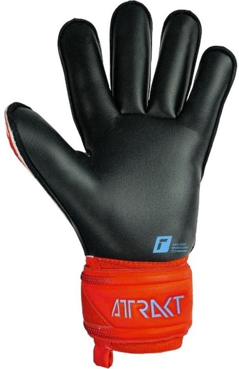 Produktbild Reusch Attrakt Gold X Roll Finger (8.5)