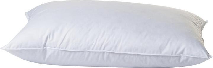 Immagine prodotto Duvetsuisse Forte Standard (50 x 70 cm)