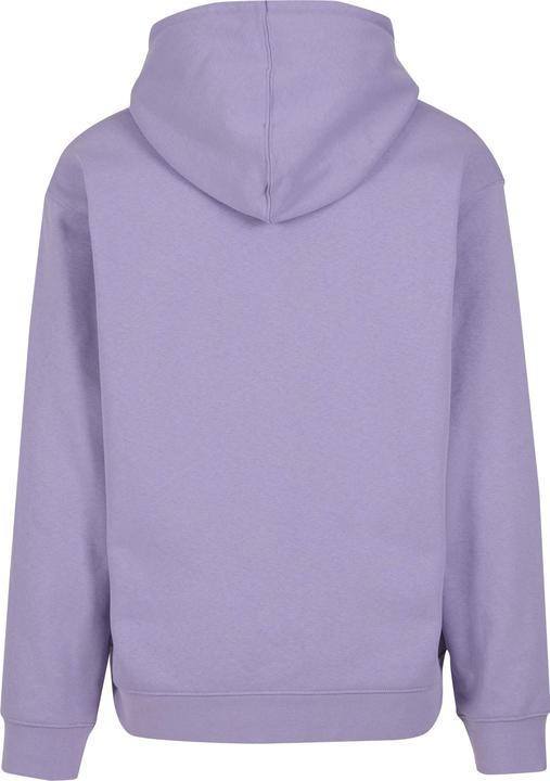 Image du produit Obey Established Works Eyes Sweat à capuche - 121801 (M)