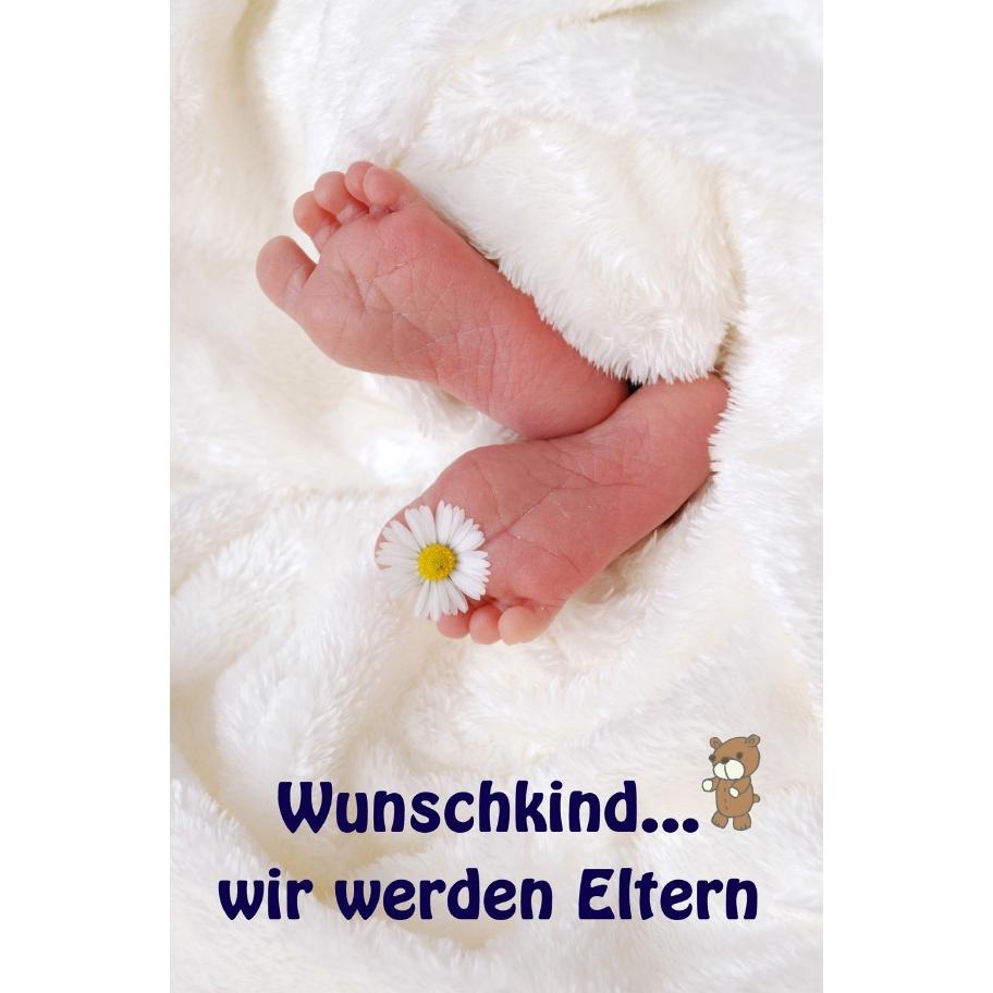 Wunschkind...wir werden Eltern, Ratgeber von Jenny Meier