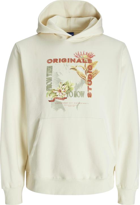 Actual product image Jack & Jones Jorlucca Graphic Sweat Hood Ciff Ln (L)