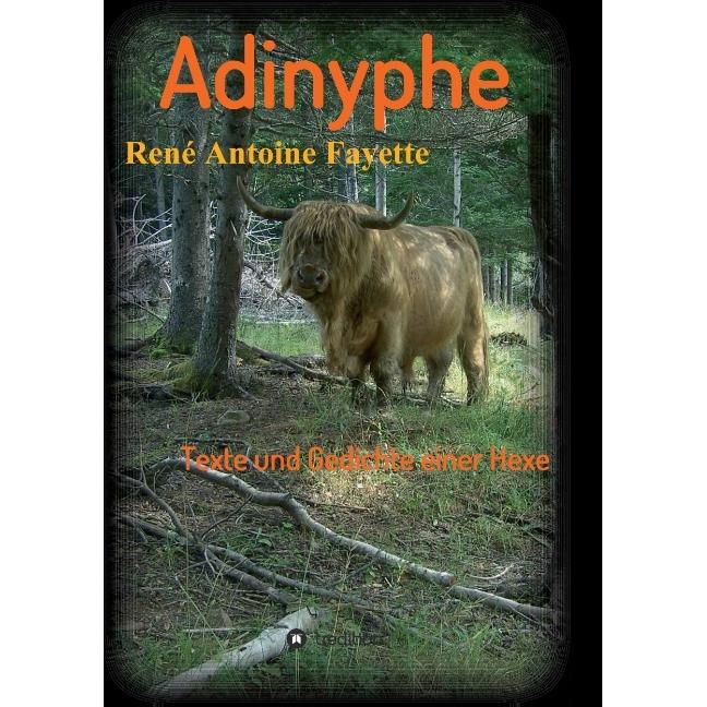 Adinyphe, Belletristik von René Antoine Fayette