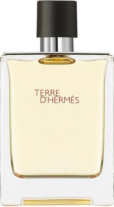 Hermès Terre D'Hermes (Eau de Toilette, 100 ml)