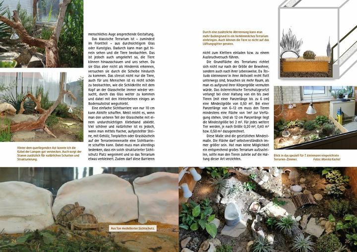 Actual product image Testudo kleinmanni (German, Christine Dworschak, 2018)