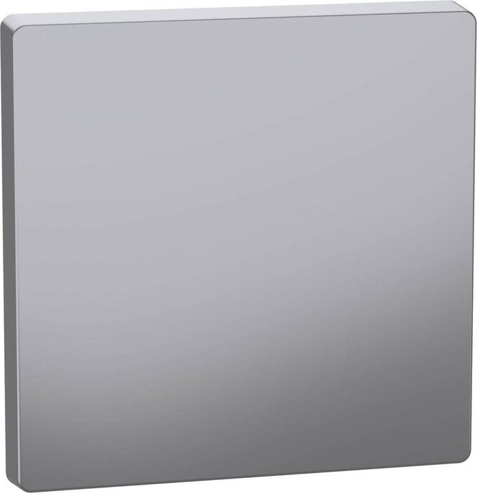 Merten MEG3300-6036. Colour of product: Stainless steel, Brand compatibility:, Material: Thermoplastic