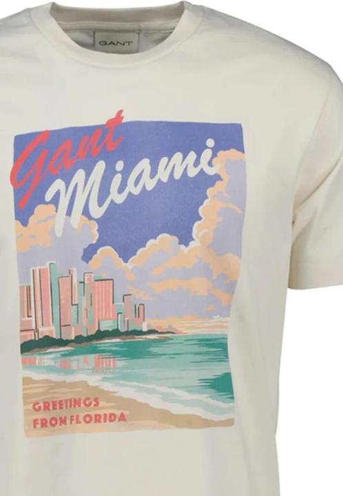 Actual product image GANT Graphic (S)