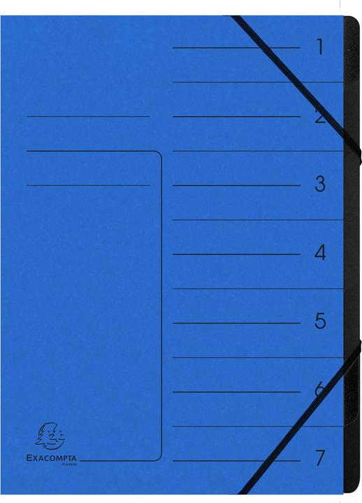 Actual product image Exacompta Stapled file folders (A4, 1 x)