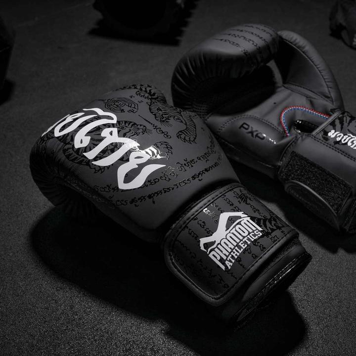 Image du produit Phantom Athletics Gants de boxe Muay Thai (10 OZ, Taille unique)